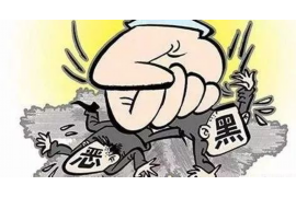 神池遇到恶意拖欠？专业追讨公司帮您解决烦恼